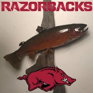 Meet your Posher, Caleb